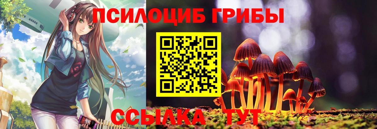 Псилоцибиновые грибы мицелий  где купить   Краснотурьинск  Галлюциногенные грибы прущие грибы  Вход с VPN 